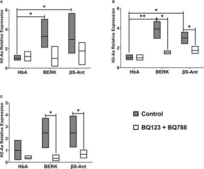 Blockade of <mark class="highlighted">endothelin-1</mark> receptor B regulates molecules of the major histocompatibility complex in sickle cell disease